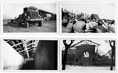 Small pictures 10.jpg